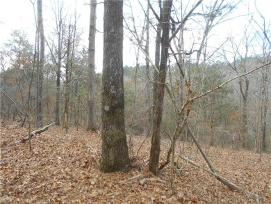 +/- 46.23 ACRES, South Sharon Church Rd, Loganville, Ga (Parcel on Cedar Lake Golf Club in Georgia - for sale on GolfHomes.com, golf home, golf lot