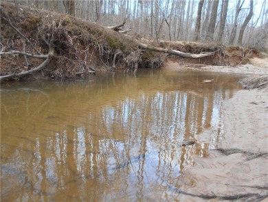 +/- 46.23 ACRES, South Sharon Church Rd, Loganville, Ga (Parcel on Cedar Lake Golf Club in Georgia - for sale on GolfHomes.com, golf home, golf lot