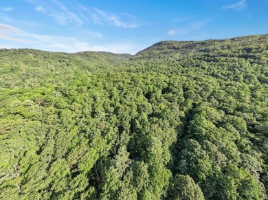 This beautiful, updated home located in Sapphire Valley sits on on Sapphire National Golf Club in North Carolina - for sale on GolfHomes.com, golf home, golf lot