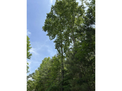 Welcome to Jasper Highlands, a premier gated community perched on Sequatchie Valley Golf and Country Club in Tennessee - for sale on GolfHomes.com, golf home, golf lot