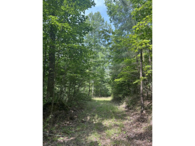 Welcome to Jasper Highlands, a premier gated community perched on Sequatchie Valley Golf and Country Club in Tennessee - for sale on GolfHomes.com, golf home, golf lot