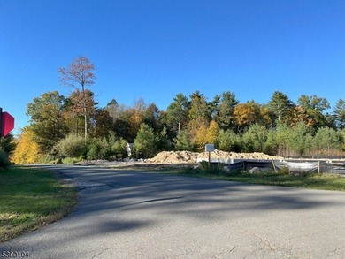 Picture your dream escape on this remarkable 0.75-acre level on High Point Golf Club in New Jersey - for sale on GolfHomes.com, golf home, golf lot