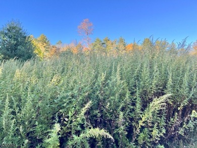 Picture your dream escape on this remarkable 0.75-acre level on High Point Golf Club in New Jersey - for sale on GolfHomes.com, golf home, golf lot