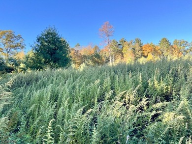Picture your dream escape on this remarkable 0.75-acre level on High Point Golf Club in New Jersey - for sale on GolfHomes.com, golf home, golf lot