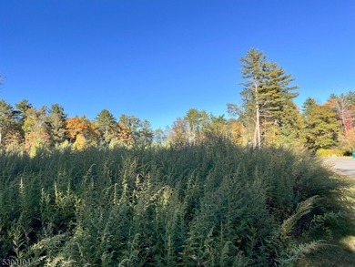 Picture your dream escape on this remarkable 0.75-acre level on High Point Golf Club in New Jersey - for sale on GolfHomes.com, golf home, golf lot