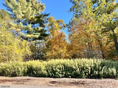 Picture your dream escape on this remarkable 0.75-acre level on High Point Golf Club in New Jersey - for sale on GolfHomes.com, golf home, golf lot