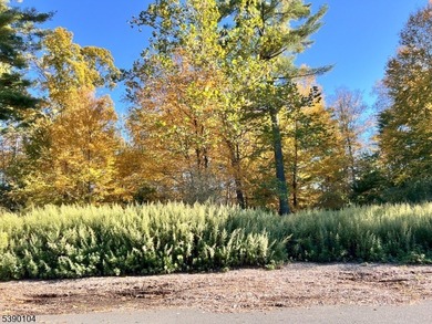 Picture your dream escape on this remarkable 0.75-acre level on High Point Golf Club in New Jersey - for sale on GolfHomes.com, golf home, golf lot