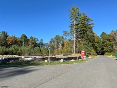Picture your dream escape on this remarkable 0.75-acre level on High Point Golf Club in New Jersey - for sale on GolfHomes.com, golf home, golf lot