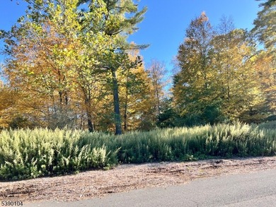 Picture your dream escape on this remarkable 0.75-acre level on High Point Golf Club in New Jersey - for sale on GolfHomes.com, golf home, golf lot