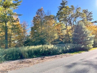 Picture your dream escape on this remarkable 0.75-acre level on High Point Golf Club in New Jersey - for sale on GolfHomes.com, golf home, golf lot