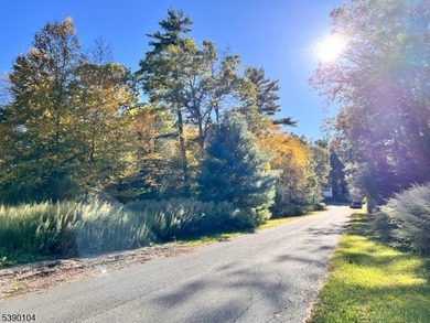Picture your dream escape on this remarkable 0.75-acre level on High Point Golf Club in New Jersey - for sale on GolfHomes.com, golf home, golf lot