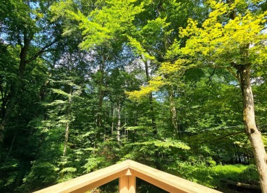 Beautifully updated 3 bed/3 bath cabin in Hide-A-Way Hills on Hide-A-Way Hills Golf Club in Ohio - for sale on GolfHomes.com, golf home, golf lot