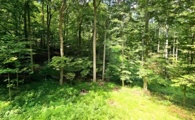Beautifully updated 3 bed/3 bath cabin in Hide-A-Way Hills on Hide-A-Way Hills Golf Club in Ohio - for sale on GolfHomes.com, golf home, golf lot