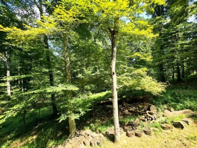 Beautifully updated 3 bed/3 bath cabin in Hide-A-Way Hills on Hide-A-Way Hills Golf Club in Ohio - for sale on GolfHomes.com, golf home, golf lot