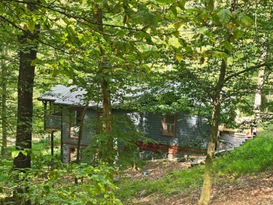 Beautifully updated 3 bed/3 bath cabin in Hide-A-Way Hills on Hide-A-Way Hills Golf Club in Ohio - for sale on GolfHomes.com, golf home, golf lot