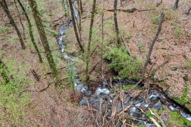 This beautiful vacant lot is more than just land - it's a rare on Bent Tree Golf Course in Georgia - for sale on GolfHomes.com, golf home, golf lot