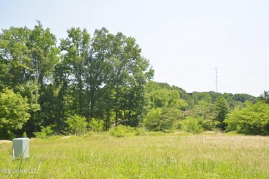 Looking to build your home in a golf community? This lot is on Cherokee Valley Golf Course in Mississippi - for sale on GolfHomes.com, golf home, golf lot