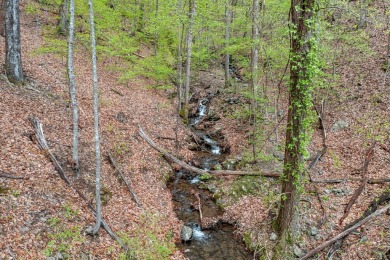 This beautiful vacant lot is more than just land - it's a rare on Bent Tree Golf Course in Georgia - for sale on GolfHomes.com, golf home, golf lot