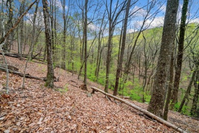 This beautiful vacant lot is more than just land - it's a rare on Bent Tree Golf Course in Georgia - for sale on GolfHomes.com, golf home, golf lot