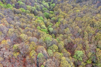This beautiful vacant lot is more than just land - it's a rare on Bent Tree Golf Course in Georgia - for sale on GolfHomes.com, golf home, golf lot