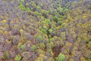 This beautiful vacant lot is more than just land - it's a rare on Bent Tree Golf Course in Georgia - for sale on GolfHomes.com, golf home, golf lot