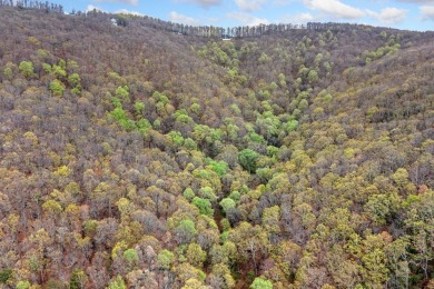 This beautiful vacant lot is more than just land - it's a rare on Bent Tree Golf Course in Georgia - for sale on GolfHomes.com, golf home, golf lot