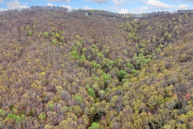 This beautiful vacant lot is more than just land - it's a rare on Bent Tree Golf Course in Georgia - for sale on GolfHomes.com, golf home, golf lot
