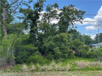 Perfect lot in a perfect spot!  Buy for an investment, or build on Placid Lakes Country Club in Florida - for sale on GolfHomes.com, golf home, golf lot