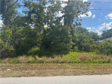 Perfect lot in a perfect spot!  Buy for an investment, or build on Placid Lakes Country Club in Florida - for sale on GolfHomes.com, golf home, golf lot