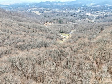 This large tract of land was a part of the original Reinertson on Laurel Ridge Country Club in North Carolina - for sale on GolfHomes.com, golf home, golf lot