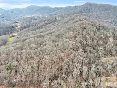 This large tract of land was a part of the original Reinertson on Laurel Ridge Country Club in North Carolina - for sale on GolfHomes.com, golf home, golf lot