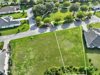 Welcome to the Conservatory at Hammock Beach where luxury living on Conservatory Course At Hammock Beach Resort in Florida - for sale on GolfHomes.com, golf home, golf lot