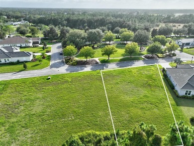 Welcome to the Conservatory at Hammock Beach where luxury living on Conservatory Course At Hammock Beach Resort in Florida - for sale on GolfHomes.com, golf home, golf lot