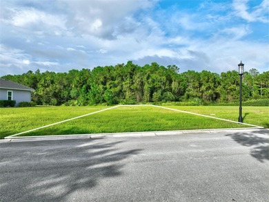 Welcome to the Conservatory at Hammock Beach where luxury living on Conservatory Course At Hammock Beach Resort in Florida - for sale on GolfHomes.com, golf home, golf lot