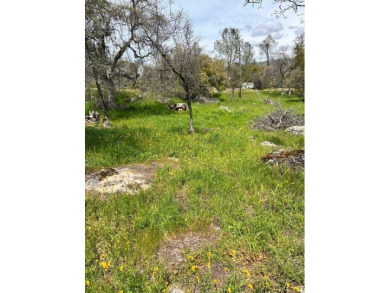 This beautiful corner lot is an excellent spot for your new home on Yosemite Lakes Park Golf Course in California - for sale on GolfHomes.com, golf home, golf lot