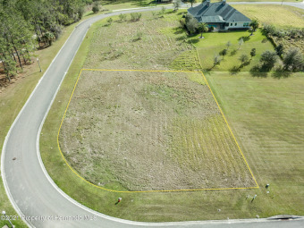BUILD YOUR DREAM HOME! Prime LOCATION! Gorgeous, over half acre on Southern Hills Plantation Club in Florida - for sale on GolfHomes.com, golf home, golf lot