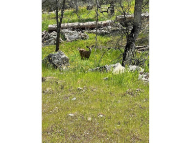 This beautiful corner lot is an excellent spot for your new home on Yosemite Lakes Park Golf Course in California - for sale on GolfHomes.com, golf home, golf lot