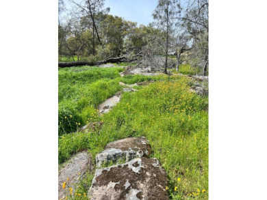 This beautiful corner lot is an excellent spot for your new home on Yosemite Lakes Park Golf Course in California - for sale on GolfHomes.com, golf home, golf lot