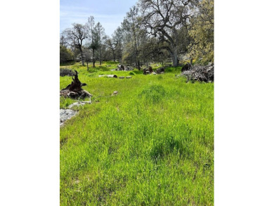 This beautiful corner lot is an excellent spot for your new home on Yosemite Lakes Park Golf Course in California - for sale on GolfHomes.com, golf home, golf lot