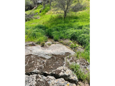 This beautiful corner lot is an excellent spot for your new home on Yosemite Lakes Park Golf Course in California - for sale on GolfHomes.com, golf home, golf lot