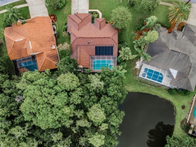 Look forward to coming home! Live on a quiet street in Eastlake on East Lake Woodlands Country Club in Florida - for sale on GolfHomes.com, golf home, golf lot