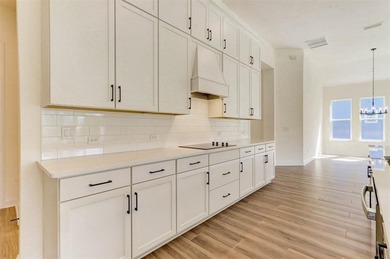 This is a rare and limited opportunity to own a brand-new on Amelia National Golf and Country Club in Florida - for sale on GolfHomes.com, golf home, golf lot