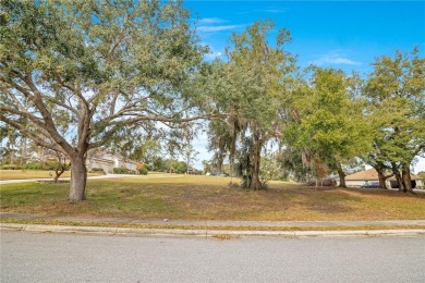 More photos coming. Prime Golf Course Living Awaits! Discover on Harbor Hills Country Club in Florida - for sale on GolfHomes.com, golf home, golf lot