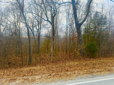 Looking for the perfect pieces of land in Horseshoe Bend on The Course At Turkey Mountain in Arkansas - for sale on GolfHomes.com, golf home, golf lot