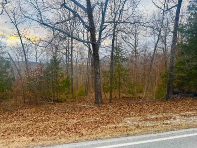 Looking for the perfect pieces of land in Horseshoe Bend on The Course At Turkey Mountain in Arkansas - for sale on GolfHomes.com, golf home, golf lot