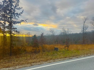 Looking for the perfect pieces of land in Horseshoe Bend on The Course At Turkey Mountain in Arkansas - for sale on GolfHomes.com, golf home, golf lot