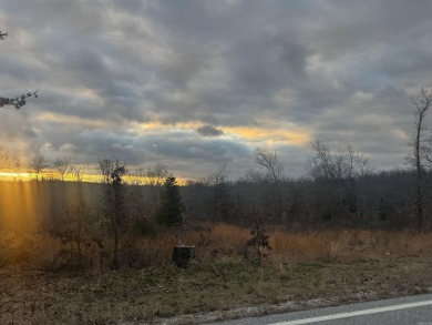Looking for the perfect pieces of land in Horseshoe Bend on The Course At Turkey Mountain in Arkansas - for sale on GolfHomes.com, golf home, golf lot