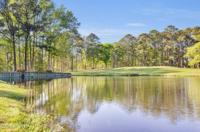 Why settle for ordinary when you can own this 2025 custom-built on Minnesott Golf and Country Club in North Carolina - for sale on GolfHomes.com, golf home, golf lot