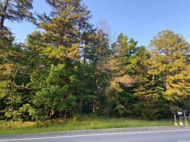 This large, wooded acre lot sits on the corner of Highway 31N on  in Arkansas - for sale on GolfHomes.com, golf home, golf lot
