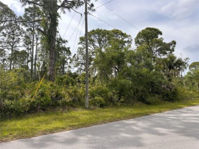 DON'T MISS THIS AMAZING OPPORTUNITY!!! ONE BUILDABLE ACRE (.92) on Sabal Trace Golf and Country Club in Florida - for sale on GolfHomes.com, golf home, golf lot